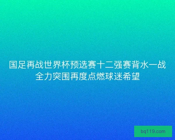 国足再战世界杯预选赛十二强赛背水一战全力突围再度点燃球迷希望