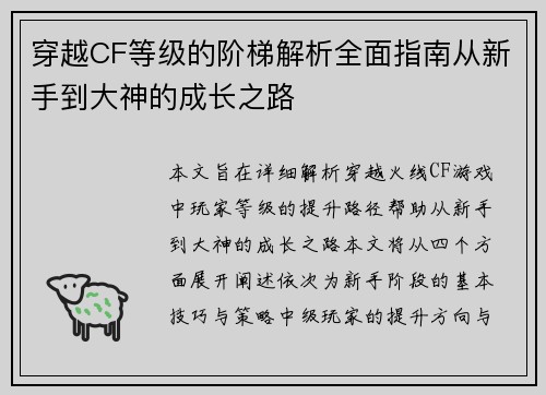 穿越CF等级的阶梯解析全面指南从新手到大神的成长之路